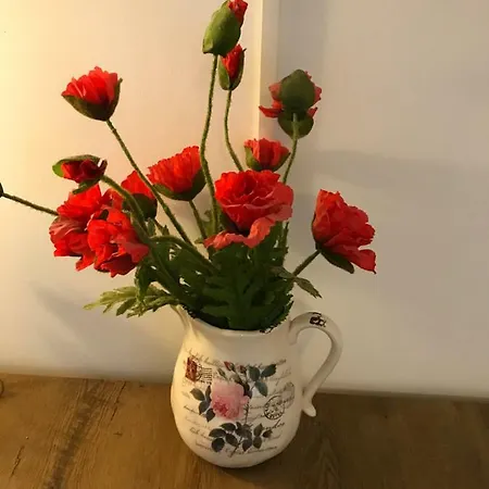 דירות בראשוב Calea Poienii Penthouse מראה חיצוני תמונה