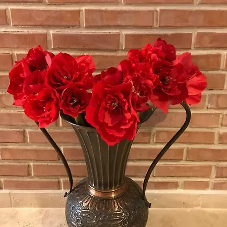 דירות בראשוב Calea Poienii Penthouse מראה חיצוני תמונה