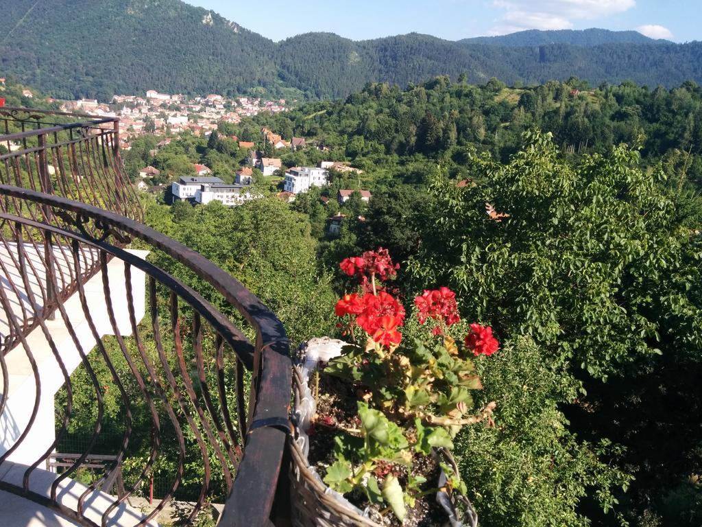 Calea Poienii Penthouse
