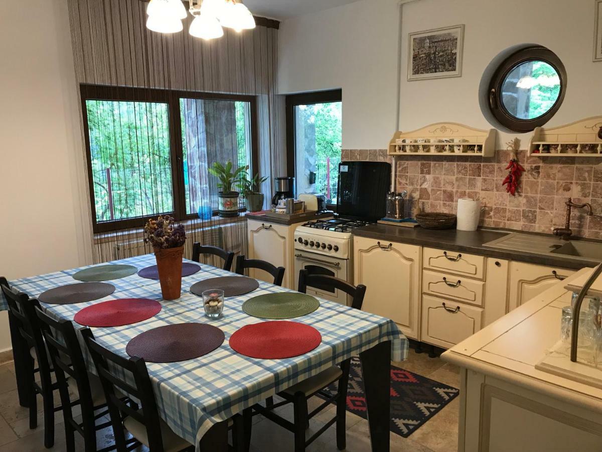 Calea Poienii Penthouse Apartment Brasov